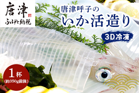 『先行予約』唐津呼子産いか活造り 1杯(約350g前後)  ※水揚げあり次第6月以降順次発送させていただきます。