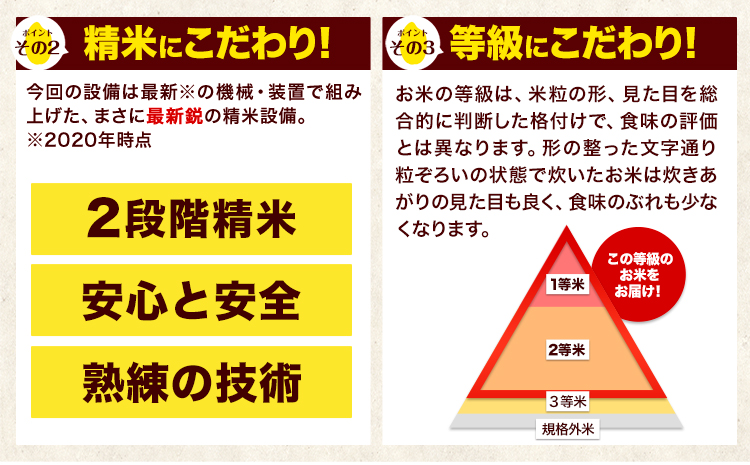 令和6年産 新米 ひのひかり 【3ヶ月定期便】 白米  20kg (5kg×4袋) 計3回お届け 《お申し込み月の翌月から出荷開始》 熊本県産 白米 精米 ひの 米 こめ お米 熊本県 長洲町---h