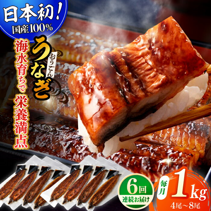 【ふるさと納税】【全6回定期便】【着日指定 可能】【日本初！海水で養殖】長崎県産おうごん うなぎ 松セット 約1kg（4尾〜8尾） 平戸市 / 松永水産 うなぎ 鰻 ウナギ 土用丑の日 九州産 蒲焼 かばやき[KAB286]