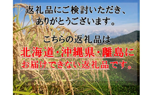 【6ヶ月定期便】長野県佐久市産　ミルキークイーン　5kg×6ヶ月　白米　モチモチ　お弁当　粘り〈出荷時期:2024年10月中旬以降～〉【海抜700m　佐久地方 長野県 佐久市 】