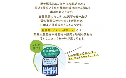 レンコン 約5kg 《11月下旬-3月末頃出荷(土日祝除く)》 熊本県氷川町産 道の駅竜北---sh_cmitiren_cf113_r7_16500_5kg---