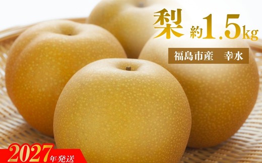 アグリード 福島市産 梨（幸水） 約1.5kg（4～6玉）【2027年発送 先行予約】No.3397