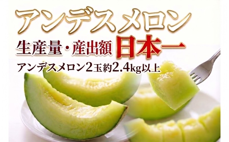 
                  【 アンデス メロン 】＼ 生産量 日本一 ！／ アンデスメロン （ 2玉 入り1箱）計2.4kg以上 メロンの村田 青肉 追熟 産地直送 メロン めろん 定番 ギフト プレゼント 贈り物 国産 フルーツ 果物 茨城 鉾田市 メロンの村田 mmr014
                