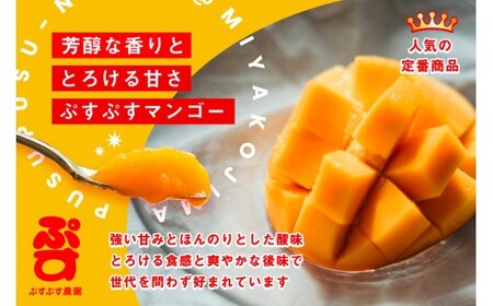 KY001 【ぷすぷす農園】宮古島産完熟マンゴー(家庭用／1キロ／農園直送)