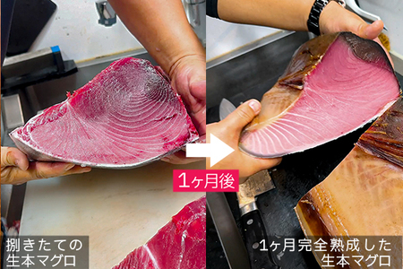 熟成 生 本マグロ 大トロ 中トロ 2種 計400g 各200g 冷蔵 刺身用 国産 熟成本まぐろ