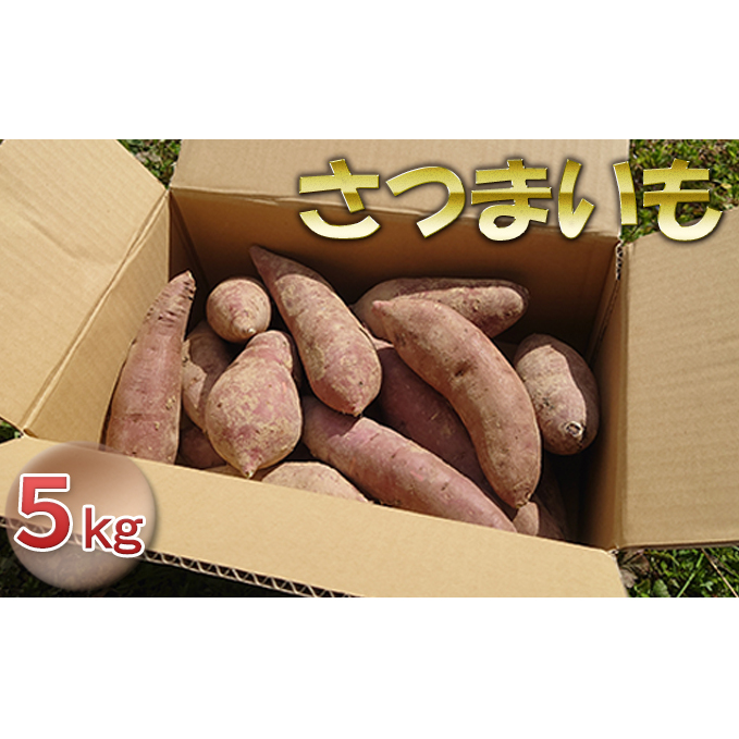 さつまいも  5kg 野菜 サツマイモ 石川県産 