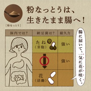 粉なっとう【オーガニックパウダー】180g×10袋