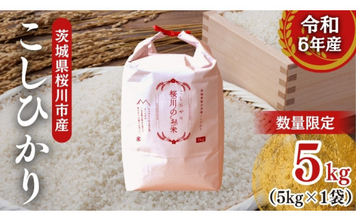 【生産者支援】 《令和6年産》茨城県 桜川市産 こしひかり5kg 茨城県産 桜川 米 お米 白米 コメ ごはん 精米 コシヒカリ 国産 限定 [SC051sa]