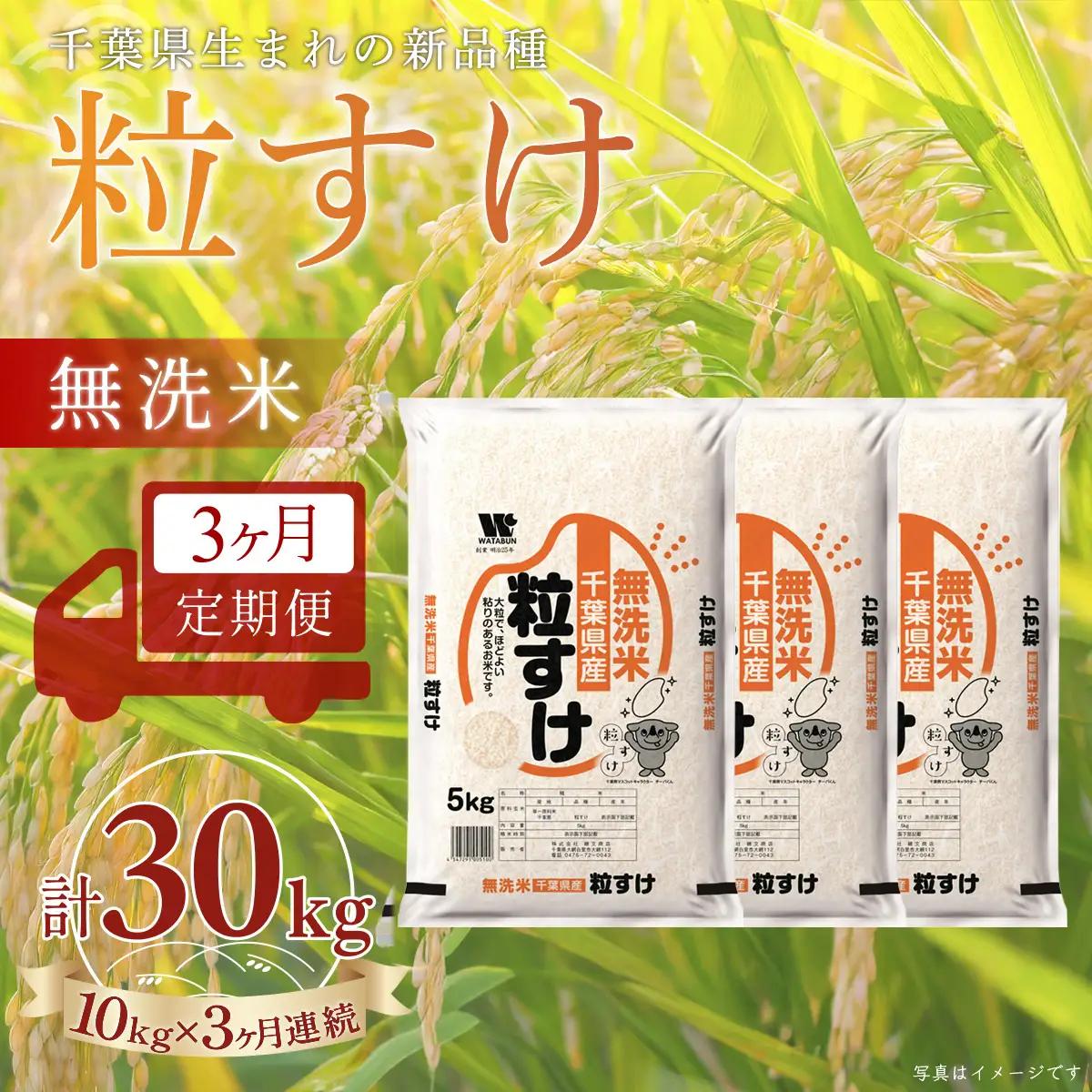 ＜3か月定期便＞ 千葉県産「粒すけ」無洗米 10kg×3か月連続 計30kg A097