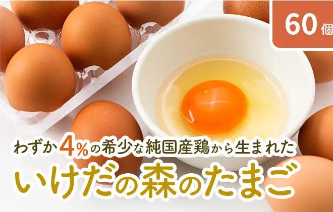 卵 いけだの森たまご 純国産鶏 岐阜県産 卵【60個】