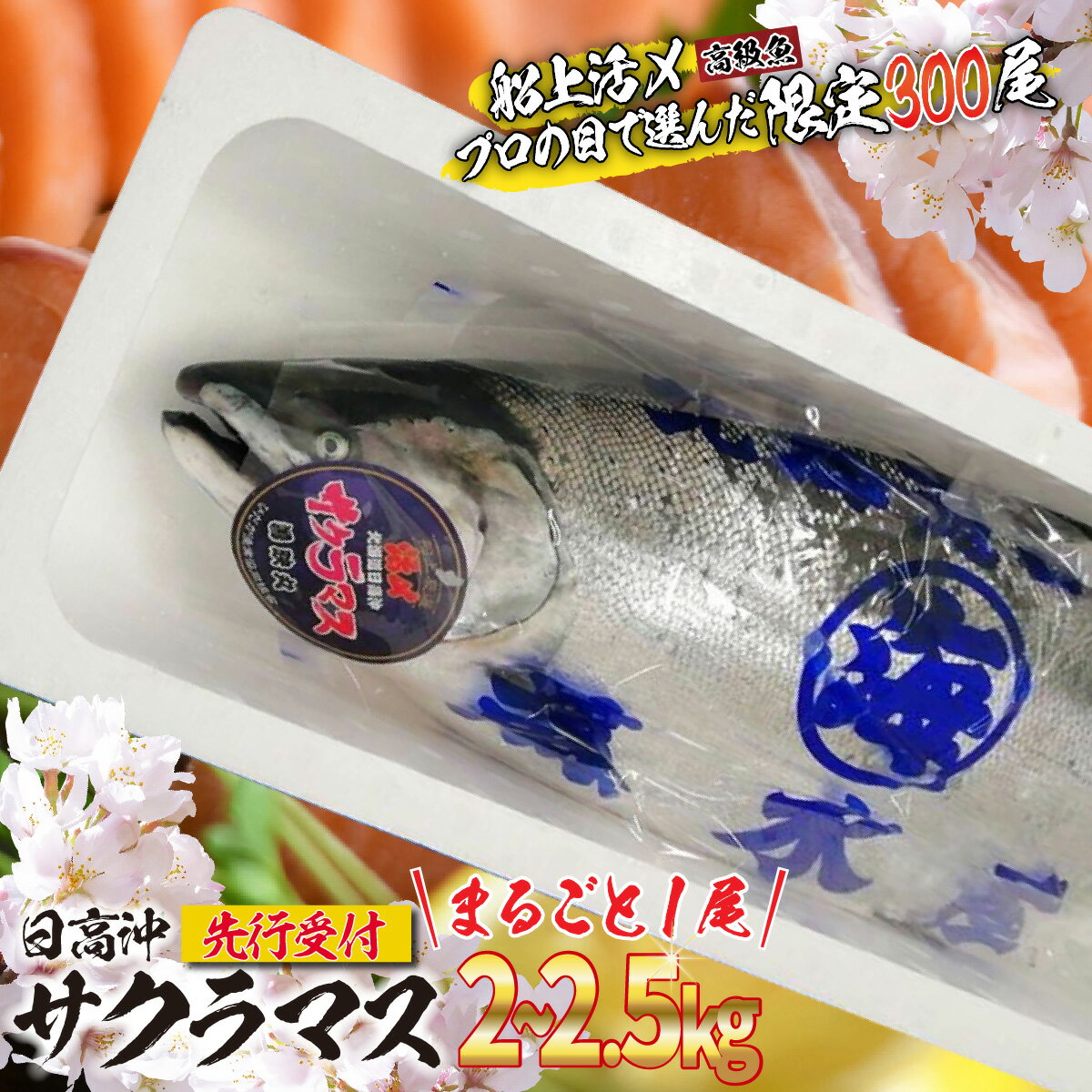 【ふるさと納税】 ＜ 2026年5月から順次発送 ＞ 北海道 天然 サクラマス 2〜2.5kg まるごと 1尾 ふるさと納税 サクラ鱒 マス 旬 新鮮 魚 魚介 海鮮 冷蔵 焼魚 ムニエル フライ 刺身 燻製 活き〆 ふるさと納税 北海道 新ひだか町 ＜ 予約商品 ＞