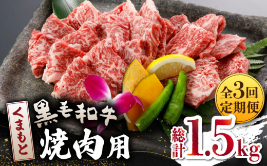 
【数量限定】【全3回定期便】くまもと 黒毛和牛 焼肉用 500ｇ【山鹿食品企画】 黒毛和牛 焼き肉用 焼肉 焼き肉 熊本県産 くまもと [ZBO040]
