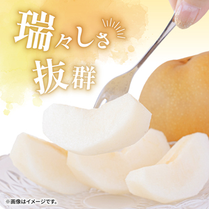 【2026年8月中旬頃から発送】 梨 5kg 豊水 梨 IDG