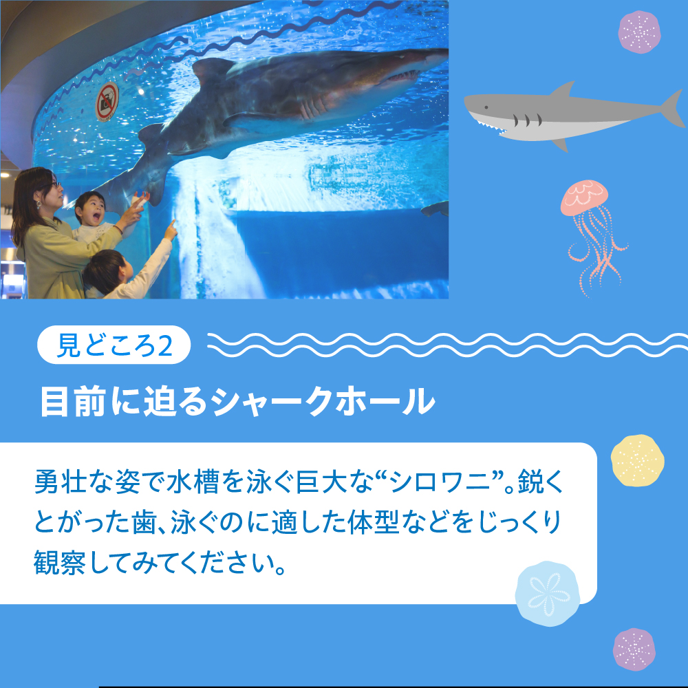 しながわ水族館ペア入館券