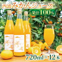 【ふるさと納税】 果汁100％ みかんジュース 720ml×12本 西浦 オレンジ 飲み物 静岡 沼津