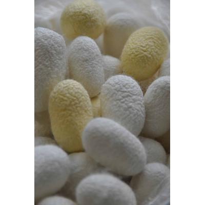 ふるさと納税 浜田市 絹浴用タオル「キビソ肌友だち」ソフトLサイズ |  | 03