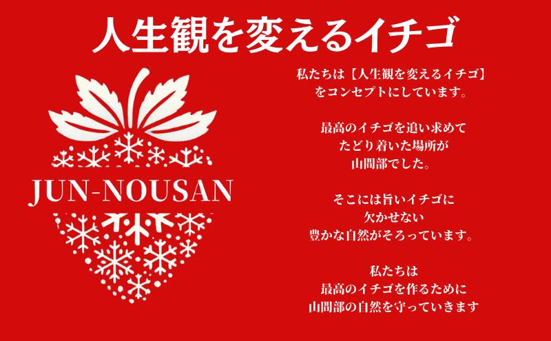 「今までで1番うまい」とうなったイチゴ【女神の雫】 2026年1月 2月 3月 4月 450g 岐阜県 美濃市 じゅん農産 1 苺