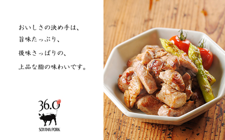 ソヤマポークの加工品詰め合わせTF862-P00078