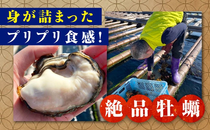 牡蠣 むき身 殻付き かき カキ 生牡蠣 広島牡蠣 オイスター カキフライ
