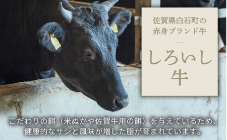 【牧場直送】人気返礼品セット！しろいし牛 手ごねハンバーグ 5個＆とろり煮込み用 700g【有限会社佐賀セントラル牧場】[IAH181]