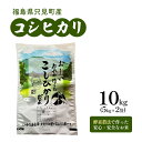 【ふるさと納税】【只見町蒲生産食味Aランク品】只見町産 コシヒカリ 精米 10kg（5kg×2袋） エムリン米　 お米 白米 ご飯 ブランド米 銘柄米 ご飯 おにぎり お弁当 産地直送 食味 風味 光沢 鮮度 　お届け：2024年10月下旬頃から順次発送予定。