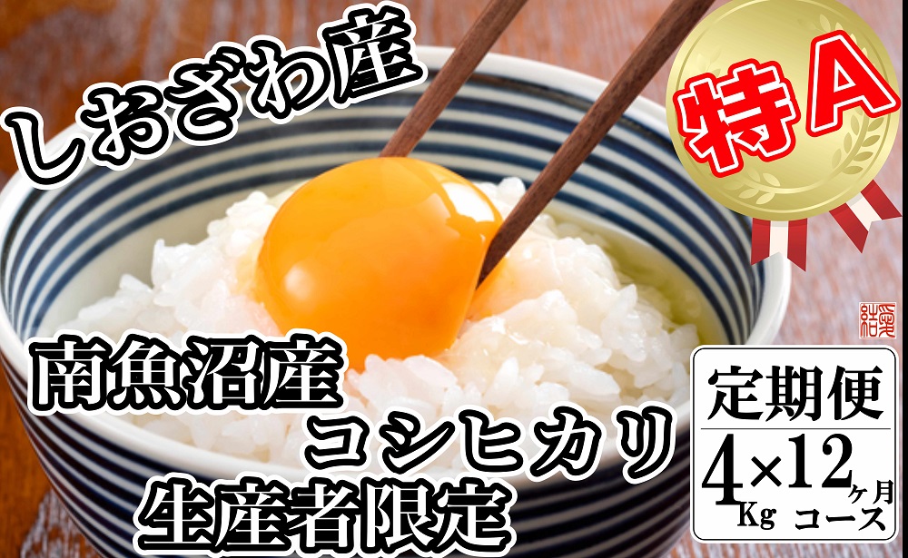 【令和7年産】【定期便／４kg×12ヶ月】生産者限定 契約栽培 南魚沼しおざわ産コシヒカリ【2025年10月上旬より順次発送予定】