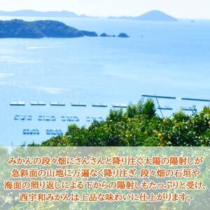 特選みかん「千兩」計400kg(約5kg×80箱)【H08-83】【1510462】