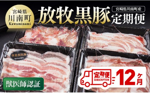 【12ヶ月定期便】宮崎県川南町産 放牧黒豚定期便 【 豚 肉 豚肉 国産 黒豚 九州産 宮崎県産 川南町 加工品 セット 送料無料 】[D08108t12]