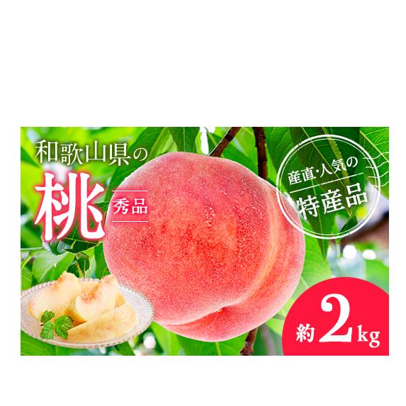 【産直・人気の特産品】和歌山の桃　約2kg・秀品◇ ｜ モモ 国産 フルーツ お取り寄せ ギフト
※北海道・沖縄・離島への配送不可
※2025年6月下旬～8月上旬頃に順次発送予定_イメージ1