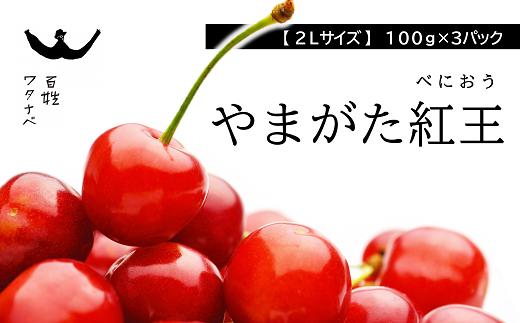 
            【令和7年産先行予約】 さくらんぼ 「やまがた紅王」 約300g (100g×3パック 特選 2Lサイズ) 《令和7年6月中旬～発送》 『最上園』 予約 小分け サクランボ 果物 フルーツ 産地直送 生産農家直送 山形県 南陽市 [1688]
          