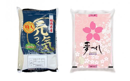 令和7年産　福岡県産米食べ比べ（白米）「夢つくし」と「元気つくし」セット　計10kg