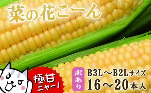 
            【先行予約】朝採れ とうもろこし 訳あり 菜の花こーん 16～20本 B3L～B2Lサイズ 家庭用 産地直送 農家直送
          