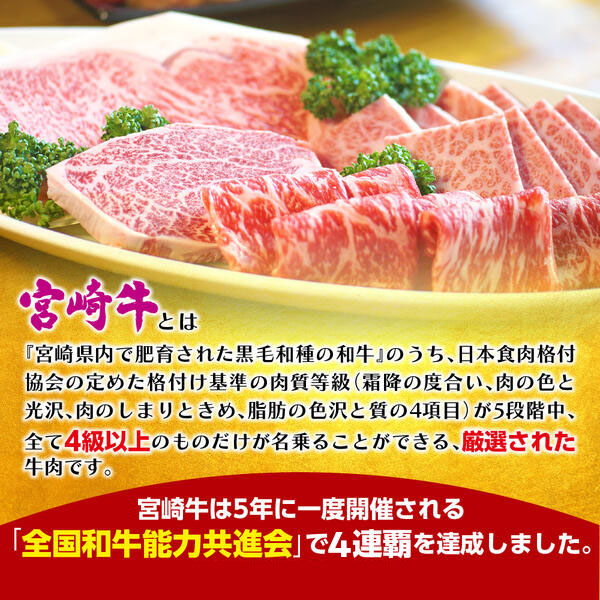 延岡育ちの宮崎牛おまかせ焼肉セット N023-YZA304_イメージ2