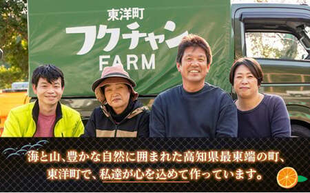 ぽんかんケンピ 3袋セット おやつ 国産 東洋町産 新食感 オレンジ ピール 芋けんぴ ケンピ けんぴ 高知県 東洋町 四国 お取り寄せ 送料無料 ご当地　F135 [F-11] 【株式会社フクチャン