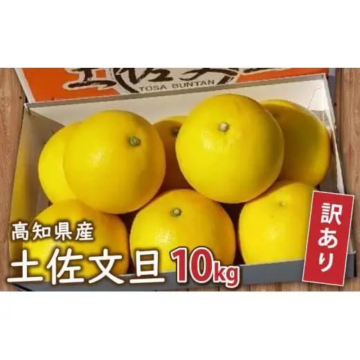 訳あり 土佐文旦 10kg 2027年1月下旬より順次発送 