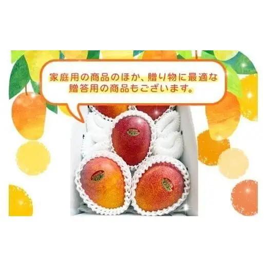 JH001《先行予約 2026年発送》宮古島産マンゴー１kg【(株)フラモン】