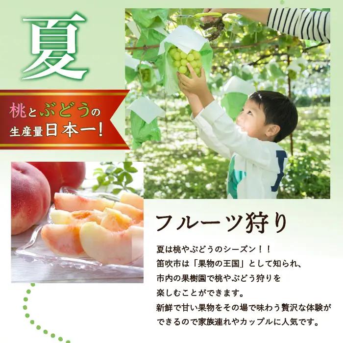 ふるさと納税石和温泉利用券＜利用券120,000円分＞ 038-008 山梨県 笛吹市 いさわ ホテル 旅館 宿泊券 観光 旅行 果物狩り フルーツ ワイン ワイナリー 登山 ぶどう 桃 ブドウ 葡萄