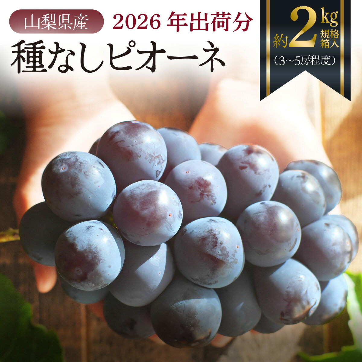 【ふるさと納税】 【2026年先行予約】朝もぎ直送！『種なしピオーネ』3〜5房（約2kg規格箱入り）《ぶどう 先行予約》産地直送 フルーツ 果物 甘い 旬 新鮮 朝採れ ジューシー 種無し 種なしぶどう 送料無料 山梨 やまなし 歴史と伝統を受け継ぐ達人のこだわり葡萄