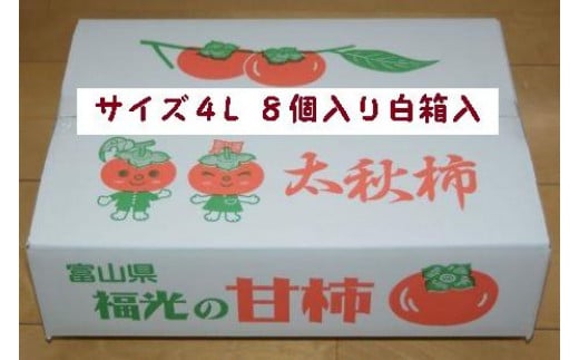 
            甘柿　太秋柿4L×8個入（2.45kg以上） 白箱入り【2025年10月17日頃より発送】
          