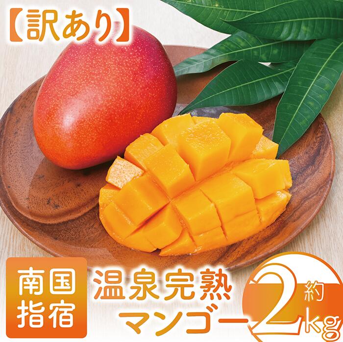 【ふるさと納税】＜訳あり・期間限定＞温泉完熟マンゴー(約2kg) 果物 フルーツ 完熟 スムージー ジュース 夏 旬 南国 家庭用 自宅用 鹿児島 いぶすき【トロピカルファームいぶすき】