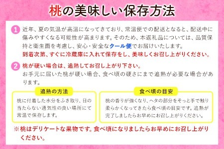 岡山の桃 秀品 約1.5kg (5~9玉前後) 《6月下旬-9月上旬頃出荷》 ｜ 桃桃桃桃桃