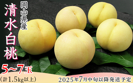 74-12 清水白桃5～7玉（計1.5kg以上）【2025年7月中旬～7月下旬発送予定】