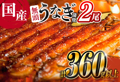 ＜2025年10月お届け＞高評価!! うなぎ 鰻楽 国産 蒲焼 2尾 人気 無頭 計360g以上 おすすめ 冷凍 簡単調理 個包装 鰻 魚介 贈答品 ギフト 贈り物【B555-2510】
