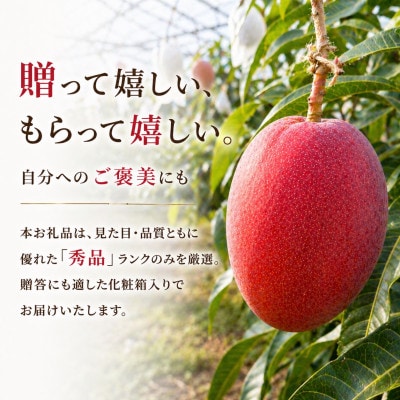 【2026年6月から順次発送・化粧箱】JA厳選のアップルマンゴー1kg(2〜3玉)【配送不可地域：離島】【1494042】