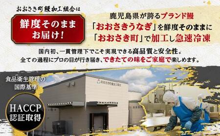 【数量限定】鹿児島県産うなぎ長蒲焼6尾（約100g×6尾）【鰻 国産うなぎ蒲焼き たれ うな重 ひつまぶし ウナギ 蒲焼 人気 おすすめ 鹿児島県 大崎町 A920】