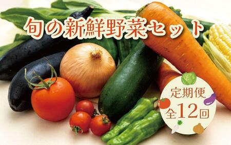 野菜セット【毎月お届け全12回】旬の新鮮野菜Ａ（たっぷり13種類以上）印南町 人気