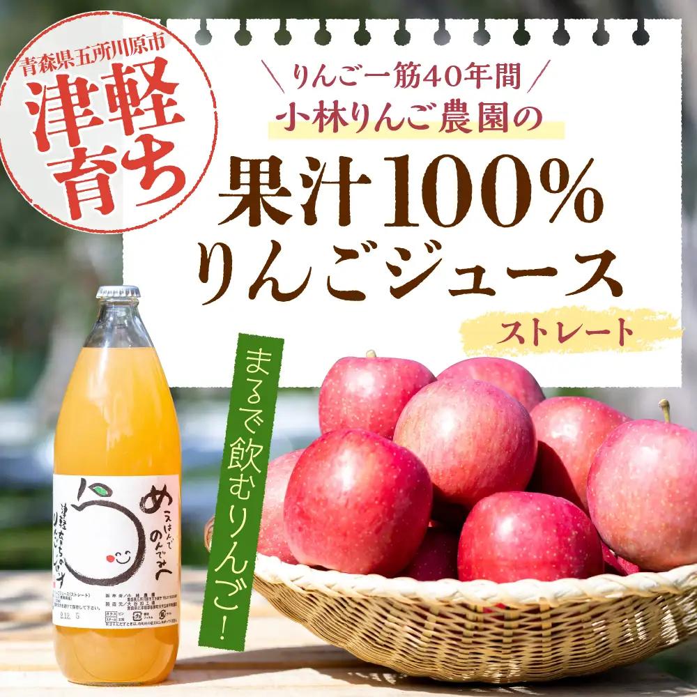 りんごジュース １L×3本【11月より順次発送】100％ストレート果汁 小林りんご農園