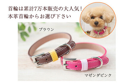 迷子札付き犬首輪　本革製　ネームタグ　日本製　ペット用品 ／ 犬用 首輪 迷子札 セット ペットグッズ ペット用品 ぶらぶらしない なくならない 愛犬 名入れ オーダー品 おしゃれ 可愛い プレゼント