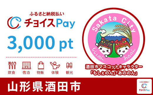 
            酒田市チョイスPay 3,000pt【会員限定のお礼の品】
          