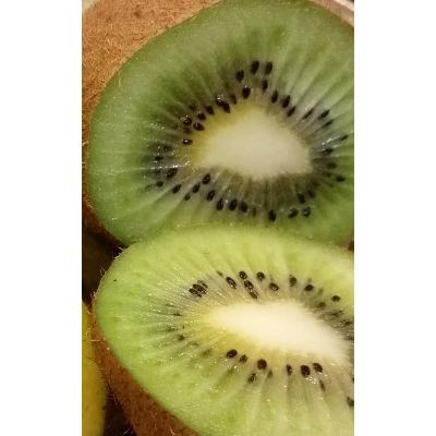 ふるさと納税 山梨市 キウイフルーツ(ヘイワード)約2kg |  | 03